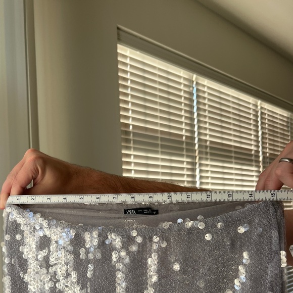 Zara Sequin Skirt (Size Large) - Picture 4 of 5